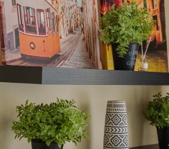1-комнатные апартаменты студия в Roomtour