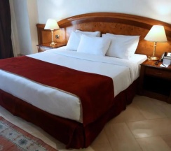 Двухместный люкс Deluxe (двуспальная кровать) в Triumph Plaza Hotel