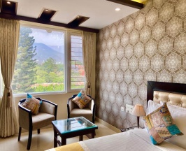 Двухместный номер Executive двуспальная кровать в Green View by Green Tree Hotels