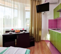 Сингл Делюкс  с балконом и видом на сад и горы в Диса