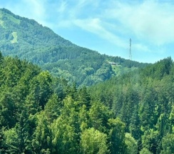 Люкс Grand в Беловодье