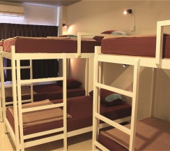 Кровать в общем номере (женский номер) в Ananas Phuket Central Hostel