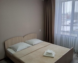 Номер полулюкс с 1 двуспальной кроватью в Славгород