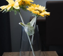 Двухместная студия двуспальная кровать в Автостоп