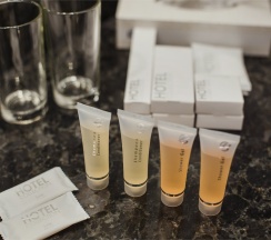 Бизнес класс комфортный с двумя кроватями/ или одной широкой кроватью и диваном-кроватью в Бенефит Плаза