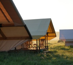 Шатер с террасой большой в Соты&Варенье