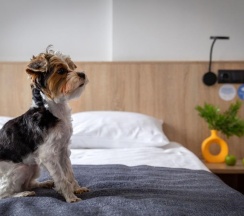 izzzi COMFORT в izzzi 3* у Гостиного двора