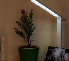 Стандарт трехместный в Хвоя