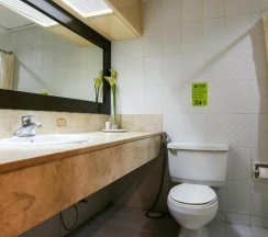Семейный номер Standard в Paragon Tower Hotel