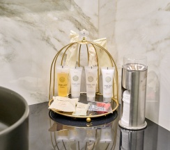 Улучшенный одноместный номер в Питер