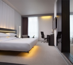Делюкс в Elements Ekaterinburg Hotel