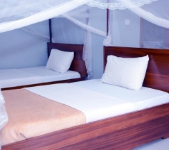 Одноместный номер Standard в Jaguar Guest House