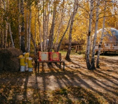 Сфера Алмаз в Holidays Forest