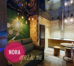 NORA в ГНЕЗДО