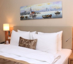 Двухместный номер Superior с видом на город двуспальная кровать в Dedeman Oskemen Hotel