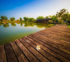 Двухместный номер Standard с видом на озеро 2 отдельные кровати в Tanita Lagoon Resort