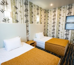 Трехместный люкс в Дружба