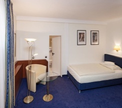 Одноместный номер Standard односпальная кровать в Hotel Viktoria