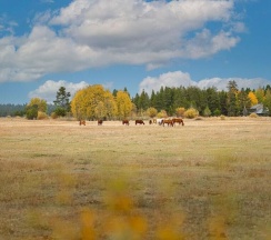 Номер Standard с балконом в Aquila Lodge 5