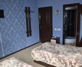 Двухместный номер Standard 2 отдельные кровати в Александра