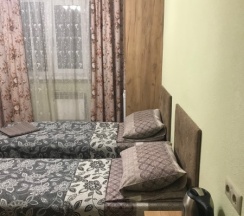 Двухместная комната стандарт с 2 отдельными кроватями в Успенка