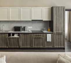 President Suite в Radius Central House by Огни Rent