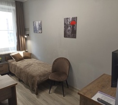 Стандарт с двумя кроватями в Ana