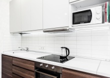 1-комнатные апартаменты улучшенные Белинского 30 в Pashk Inn Apartments (Пашк Инн Апартментс) на улице Белинского