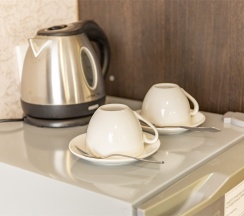 Стандартный двухместный  ( с 2 раздельными кроватями) в Славянка