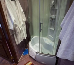 Номер стандарт с 1 двуспальной кроватью в Центральная