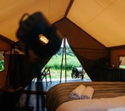 ROMANTIC в Radostland