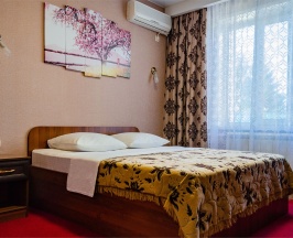 Бизнес-класс 110 в Восток 2000