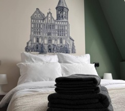 Номер стандарт с 1 двуспальной кроватью Кнайпхоф в Прусс