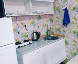 1-местный номер эконом в Онегин