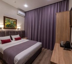 2-местный номер комфорт в Xenia city hotel