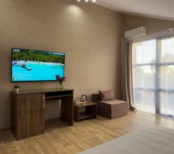 Трёхместный номер Супериор Плюс c 1 комнатой с балконом и с красивым видом из окна в Aimara