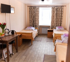 Трехместный номер эконом-класса  в Брусника