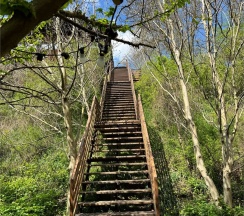 20 Forest-house в Apparadise