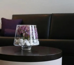 Двухместный люкс двуспальная кровать в Schiller5 Hotel & Boardinghouse