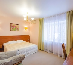 Люкс в Александровский