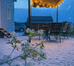 Категория номера в Экко-дом у леса