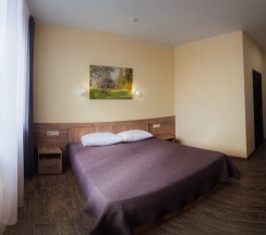 Номер Standard в Лофт