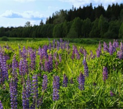 River-2 white | Банный чан в Барские Поля