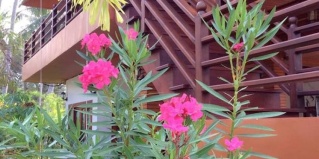пляж Клонг Кхонг: Курортный отель Lanta Wanida Resort