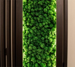 РЕЗИДЕНЦИЯ для большой компании в Villingston Residence