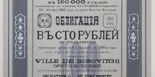 Боровичи: Мини-отель Белелюбского