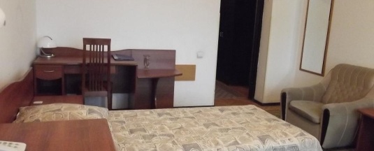 Номер эконом с 1 двуспальной кроватью в Паллада