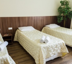 Трехместный стандарт в Аристоль