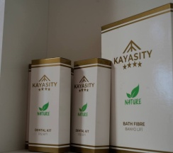 Двухэтажный коттедж в KayaSity