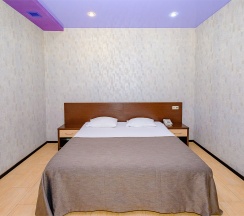 №101 в цоколе в Avangard Hotel